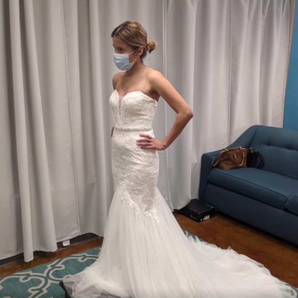 FINAL PRICE Pronovias wedding dress. Never warn,tags intact.
